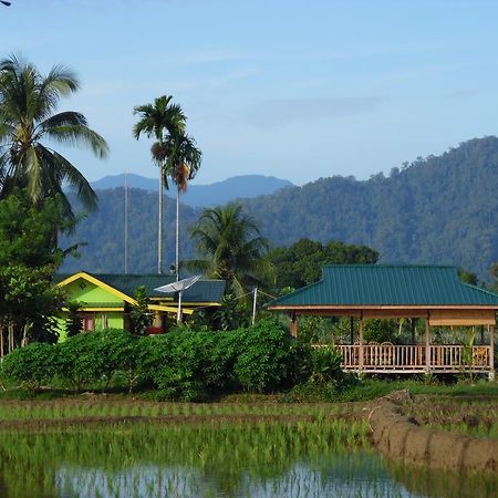 Ambow Homestay Jungle Trekking & Village Tour Bukit Lawang Esterno foto
