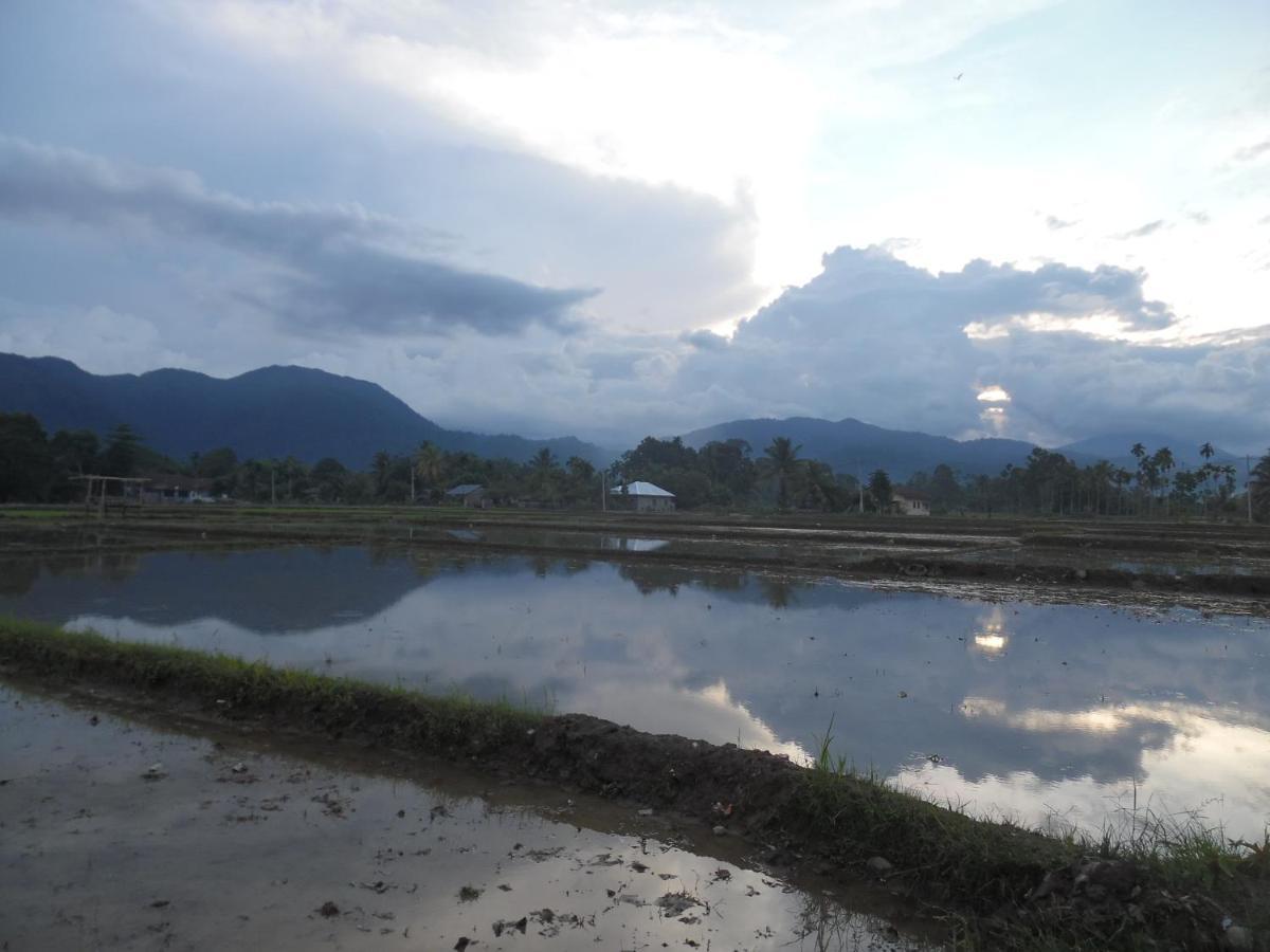 Ambow Homestay Jungle Trekking & Village Tour Bukit Lawang Esterno foto