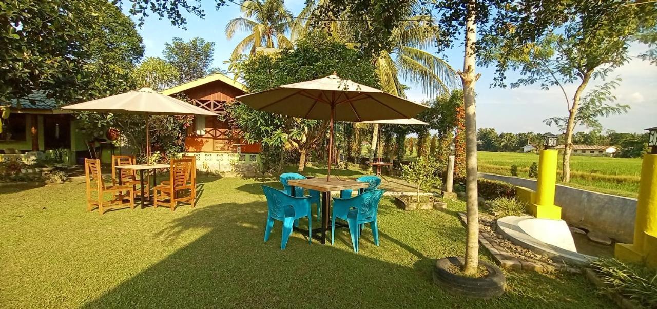 Ambow Homestay Jungle Trekking & Village Tour Bukit Lawang Esterno foto