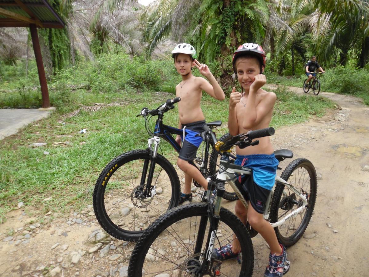 Ambow Homestay Jungle Trekking & Village Tour Bukit Lawang Esterno foto