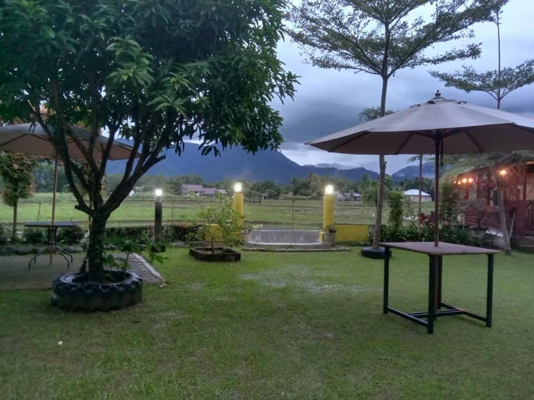 Ambow Homestay Jungle Trekking & Village Tour Bukit Lawang Esterno foto