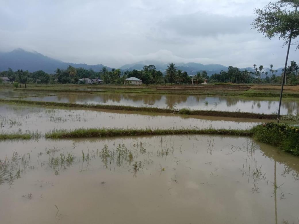 Ambow Homestay Jungle Trekking & Village Tour Bukit Lawang Esterno foto