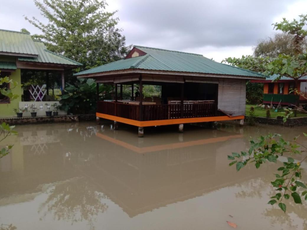 Ambow Homestay Jungle Trekking & Village Tour Bukit Lawang Esterno foto