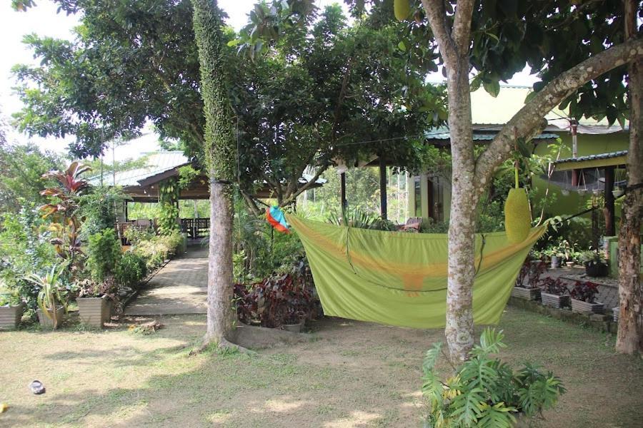 Ambow Homestay Jungle Trekking & Village Tour Bukit Lawang Esterno foto