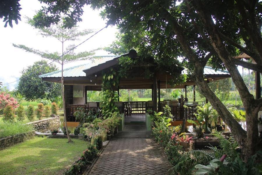 Ambow Homestay Jungle Trekking & Village Tour Bukit Lawang Esterno foto