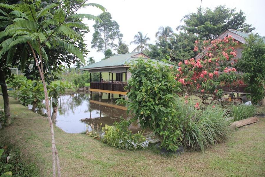 Ambow Homestay Jungle Trekking & Village Tour Bukit Lawang Esterno foto
