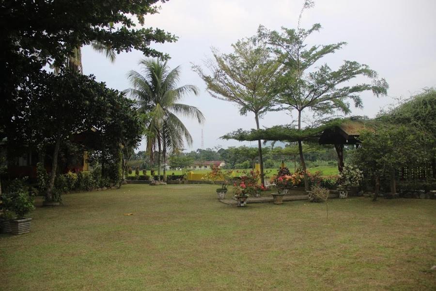 Ambow Homestay Jungle Trekking & Village Tour Bukit Lawang Esterno foto