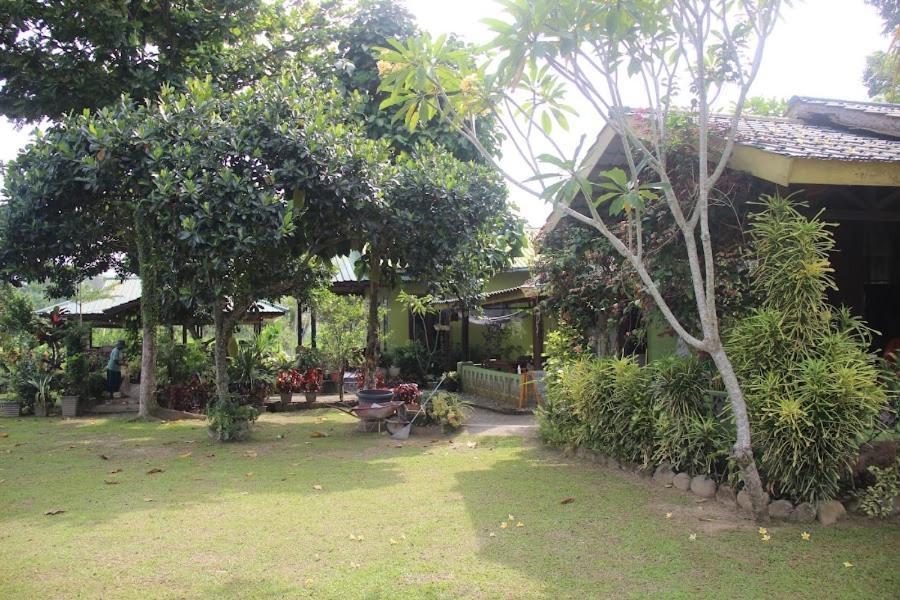 Ambow Homestay Jungle Trekking & Village Tour Bukit Lawang Esterno foto