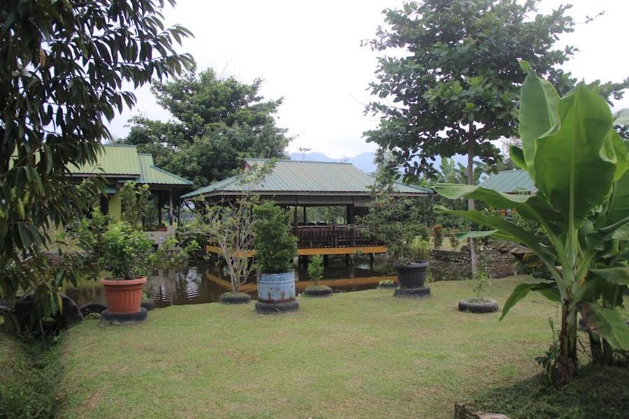 Ambow Homestay Jungle Trekking & Village Tour Bukit Lawang Esterno foto