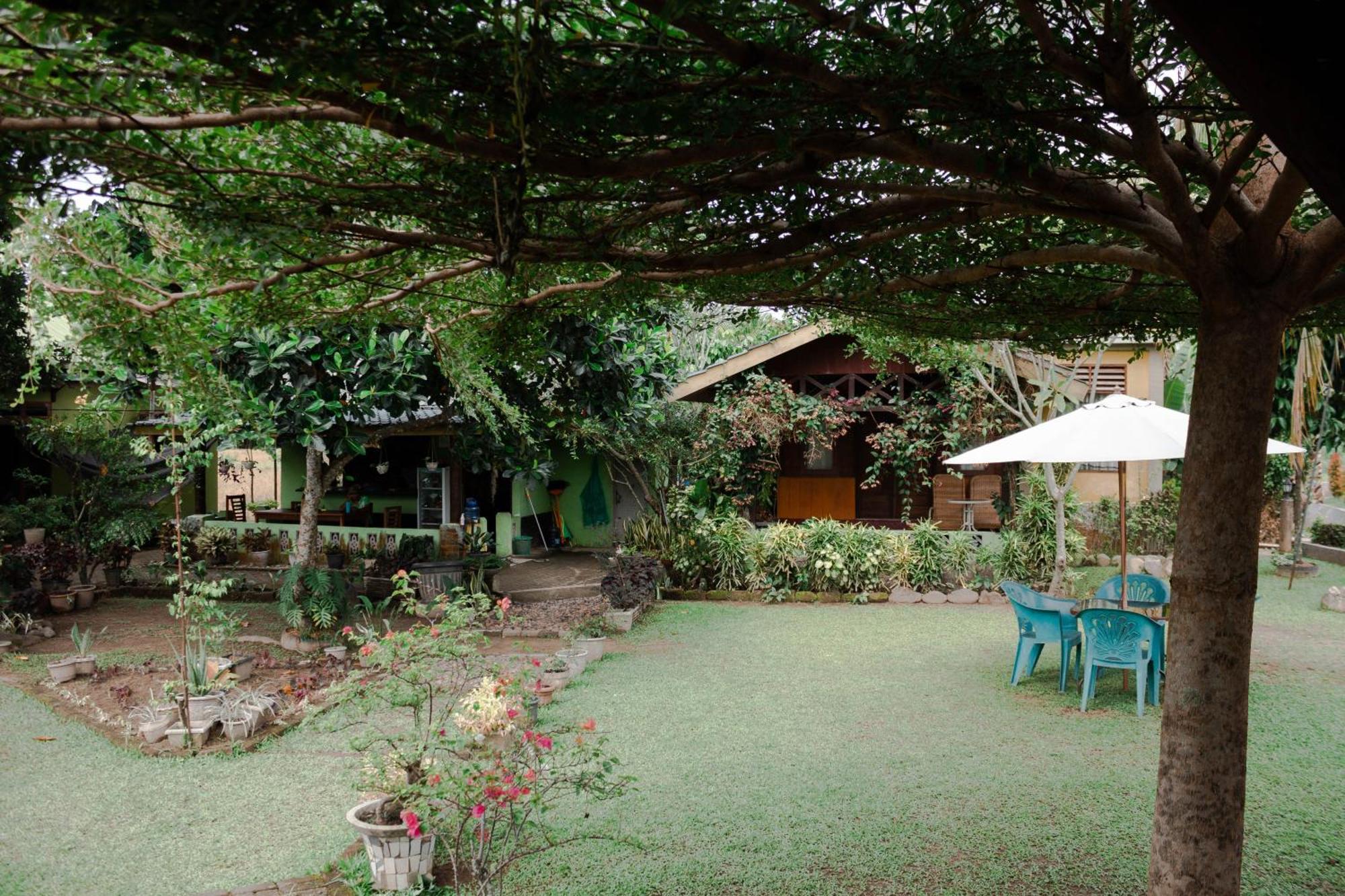 Ambow Homestay Jungle Trekking & Village Tour Bukit Lawang Esterno foto