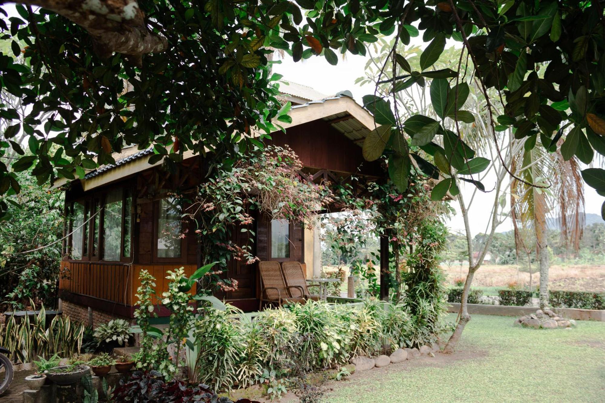 Ambow Homestay Jungle Trekking & Village Tour Bukit Lawang Esterno foto