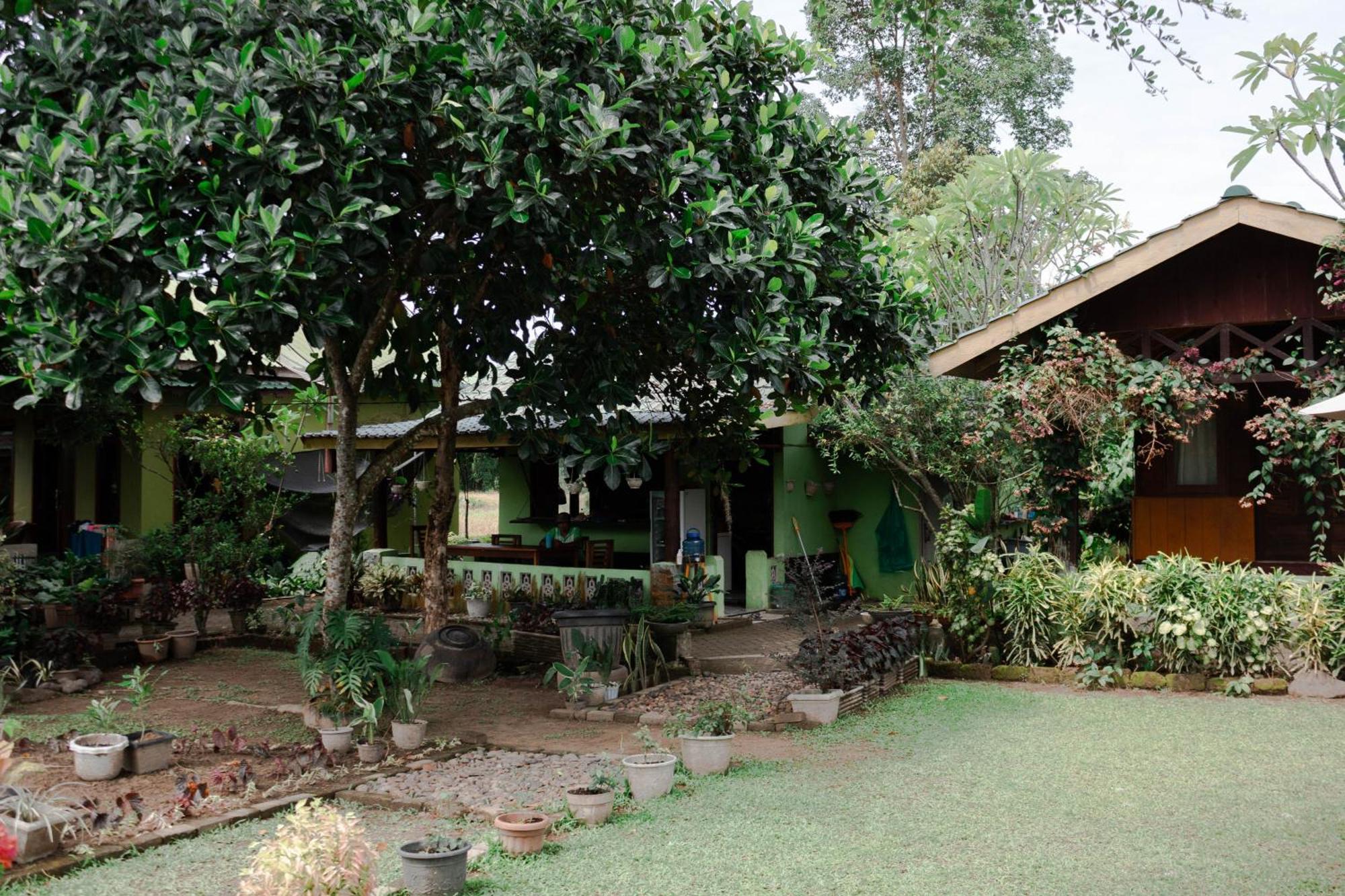 Ambow Homestay Jungle Trekking & Village Tour Bukit Lawang Esterno foto