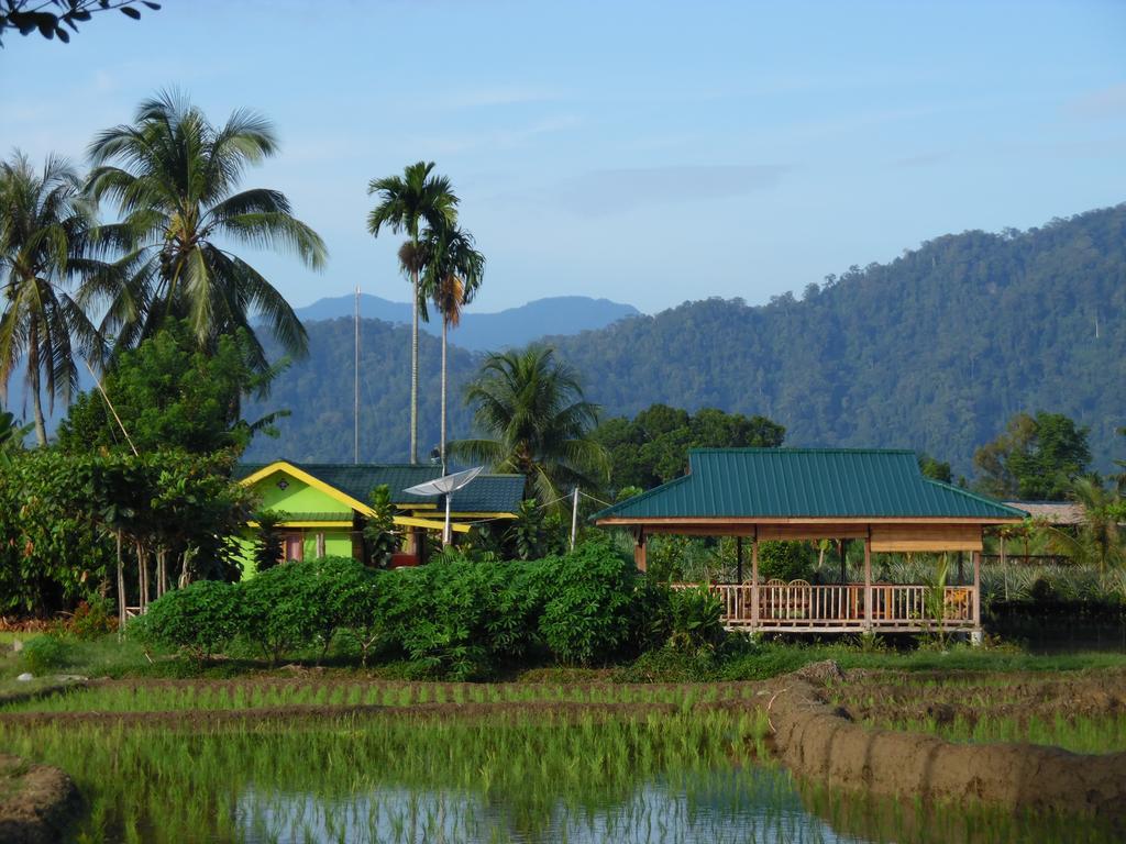 Ambow Homestay Jungle Trekking & Village Tour Bukit Lawang Esterno foto