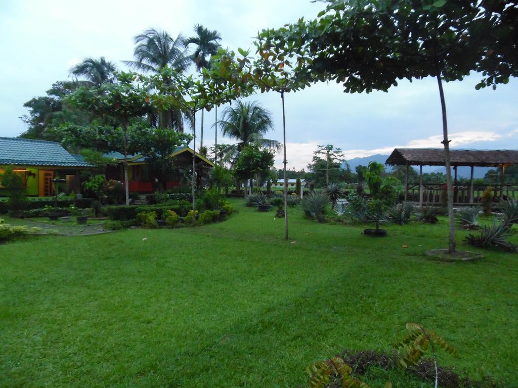 Ambow Homestay Jungle Trekking & Village Tour Bukit Lawang Esterno foto