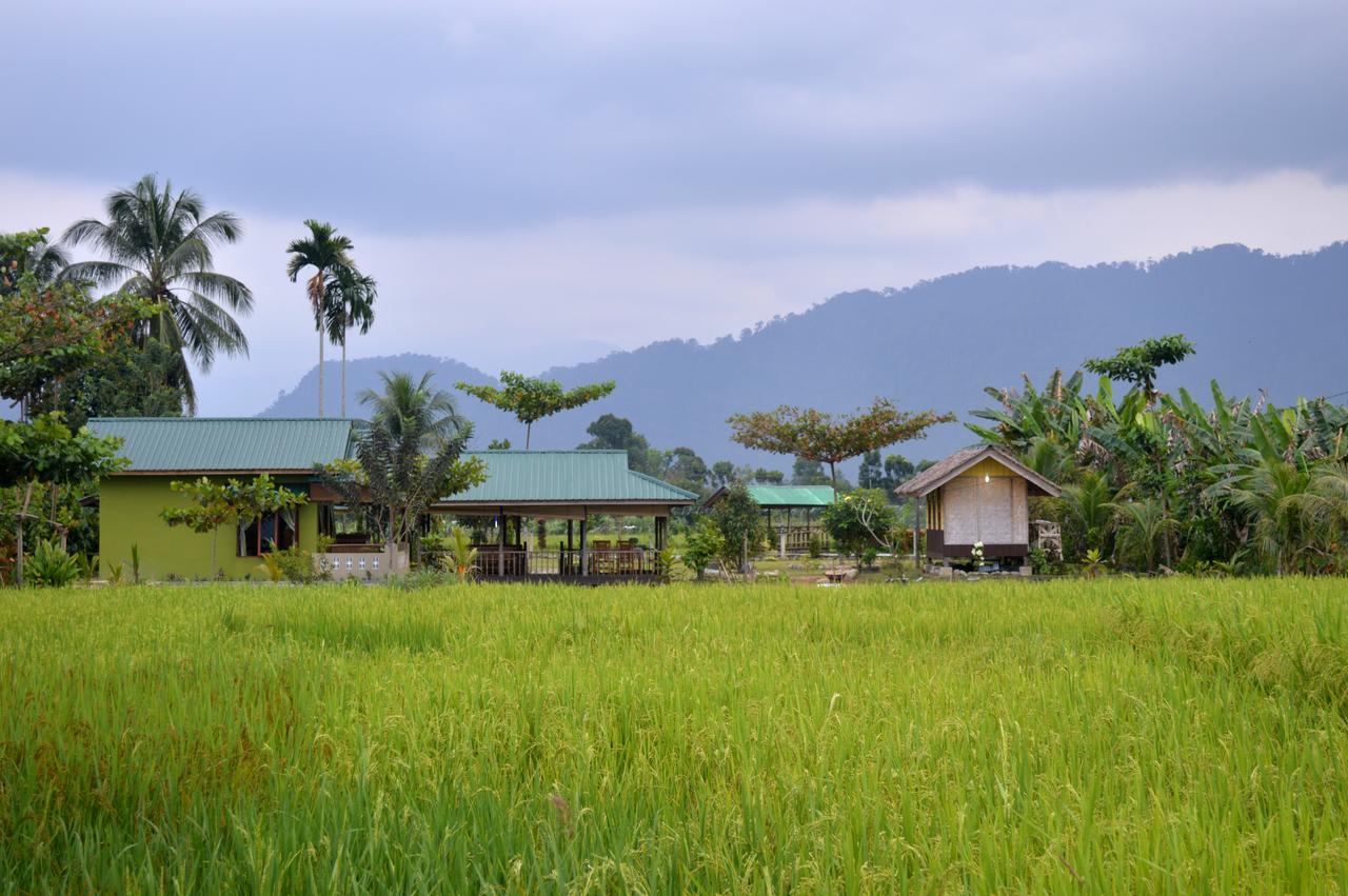 Ambow Homestay Jungle Trekking & Village Tour Bukit Lawang Esterno foto