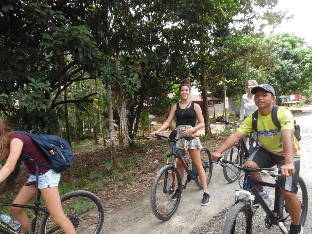 Ambow Homestay Jungle Trekking & Village Tour Bukit Lawang Esterno foto