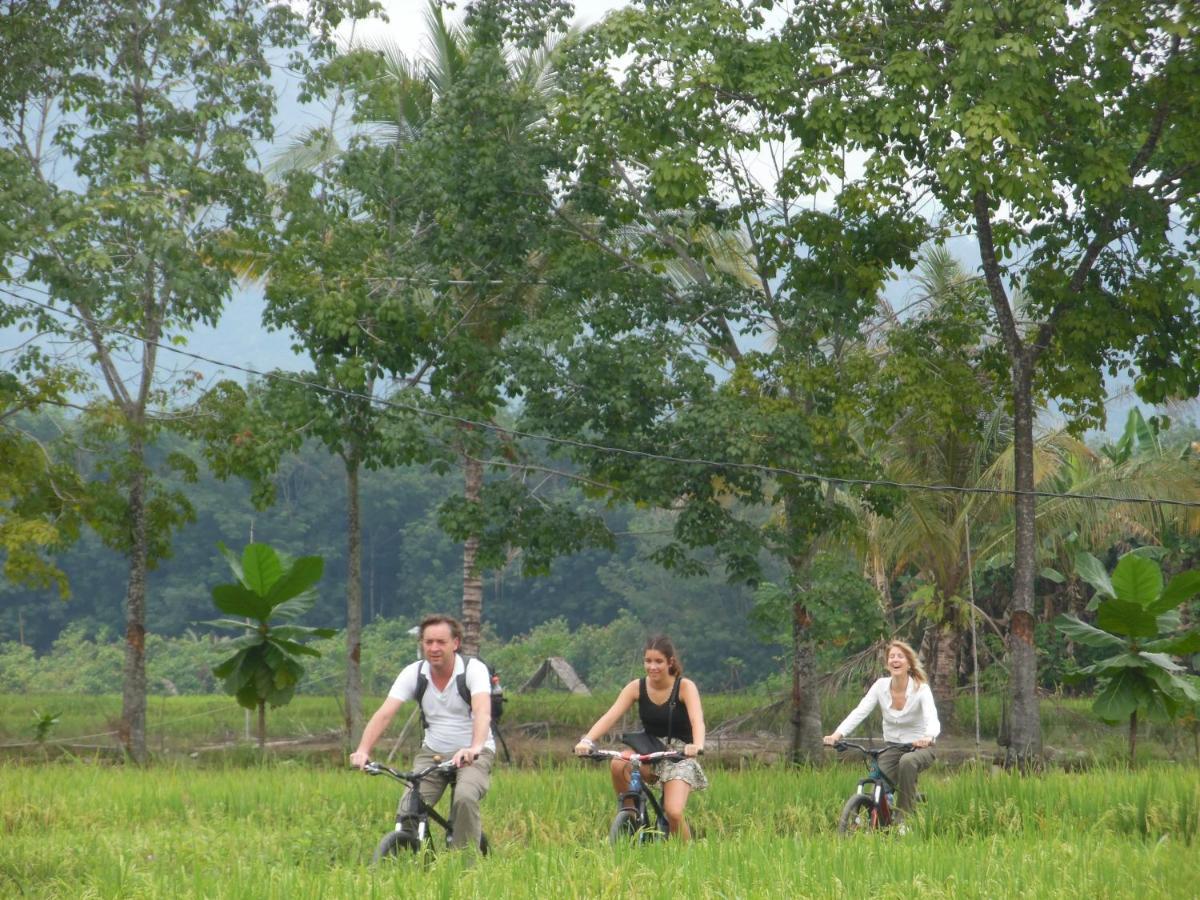Ambow Homestay Jungle Trekking & Village Tour Bukit Lawang Esterno foto