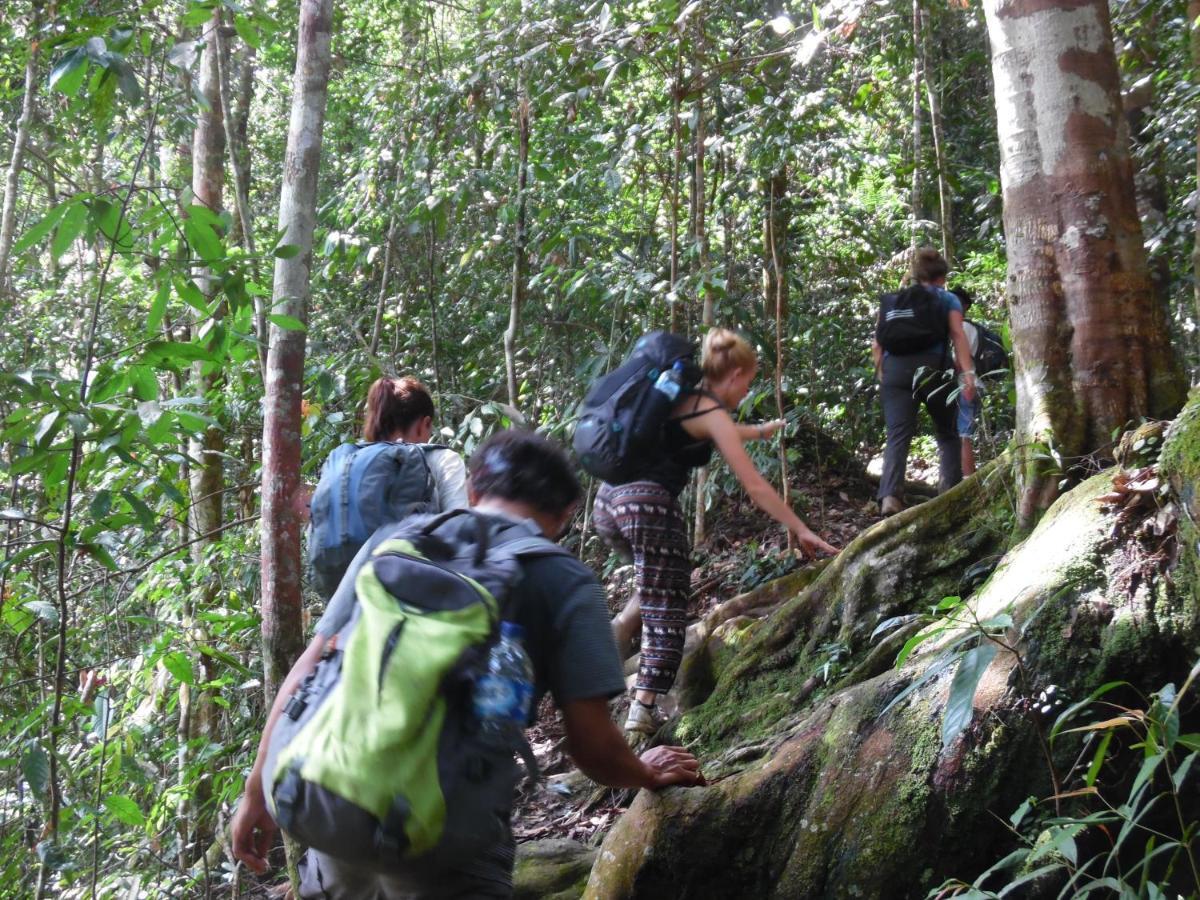 Ambow Homestay Jungle Trekking & Village Tour Bukit Lawang Esterno foto