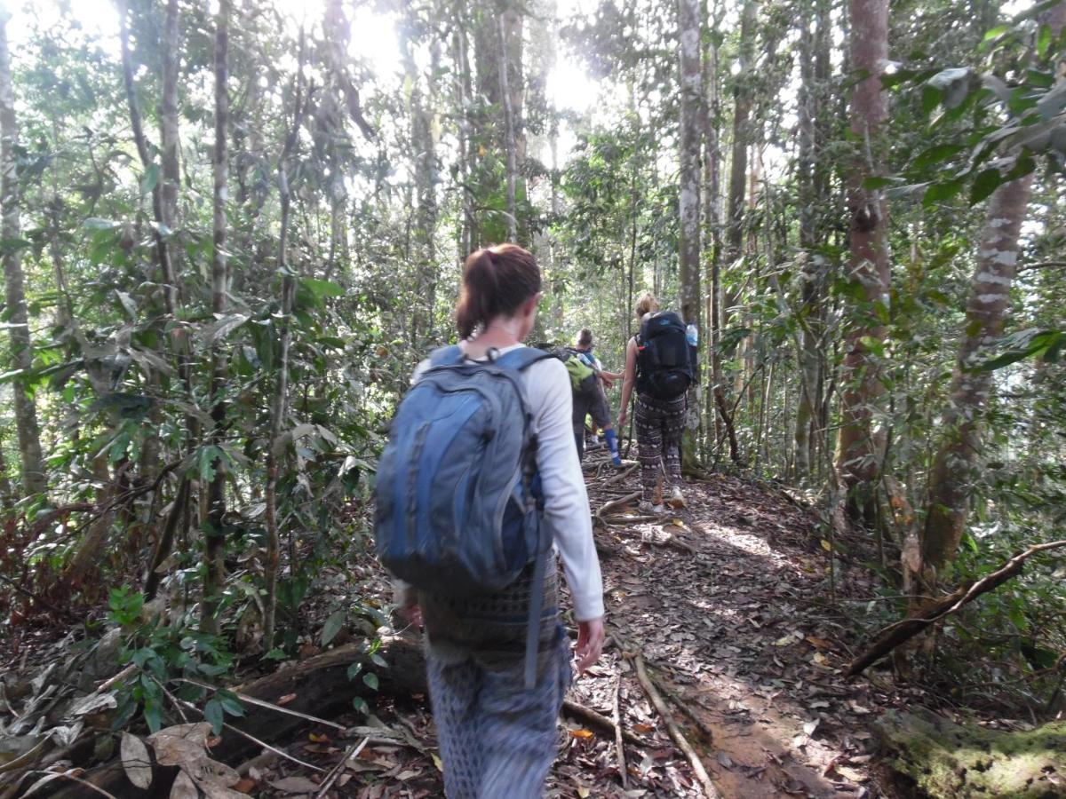 Ambow Homestay Jungle Trekking & Village Tour Bukit Lawang Esterno foto