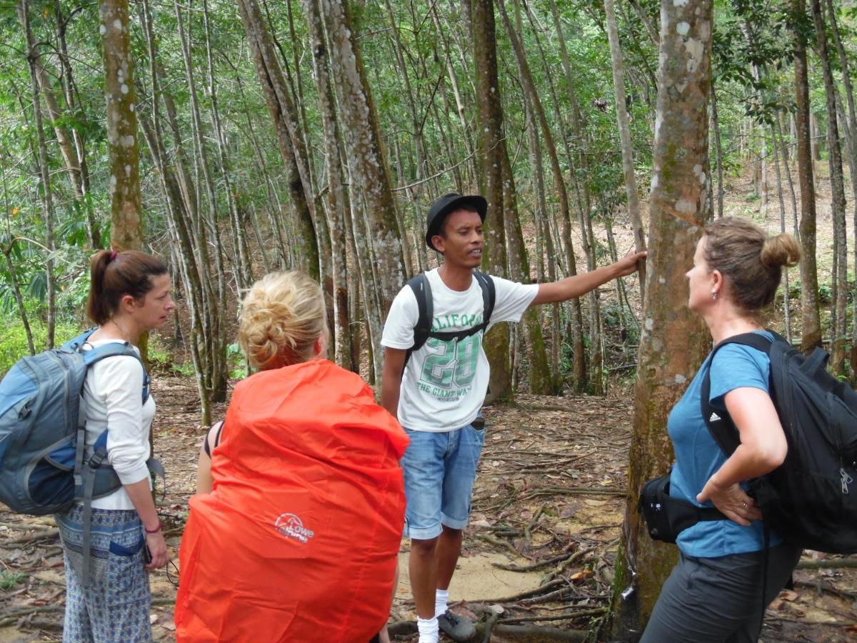 Ambow Homestay Jungle Trekking & Village Tour Bukit Lawang Esterno foto