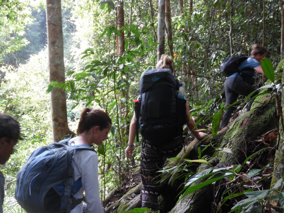 Ambow Homestay Jungle Trekking & Village Tour Bukit Lawang Esterno foto
