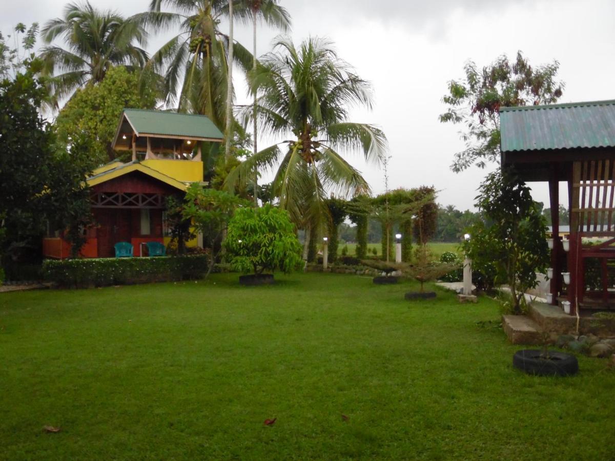 Ambow Homestay Jungle Trekking & Village Tour Bukit Lawang Esterno foto