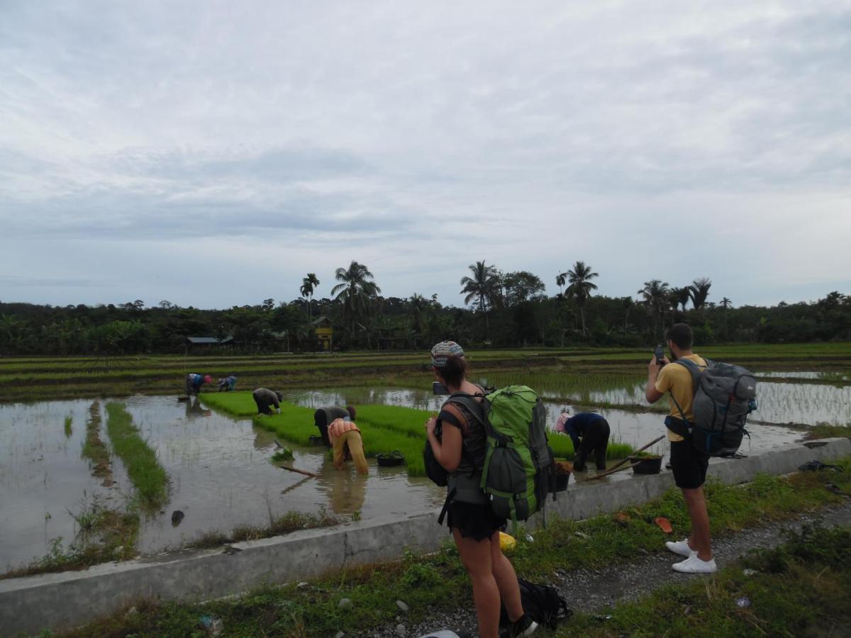 Ambow Homestay Jungle Trekking & Village Tour Bukit Lawang Esterno foto